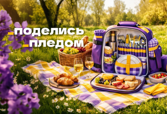 Наборы для пикника