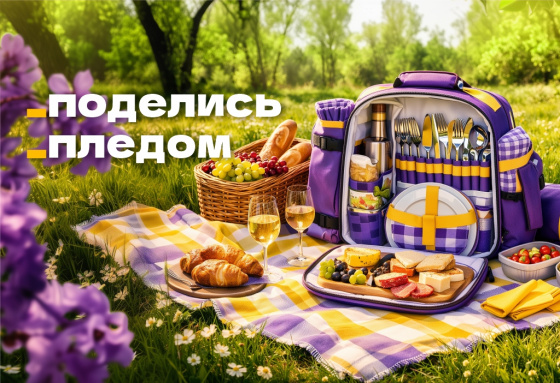 Наборы для пикника