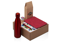 Набор Teanote с термобутылкой, блокнотом, ручкой и чаем